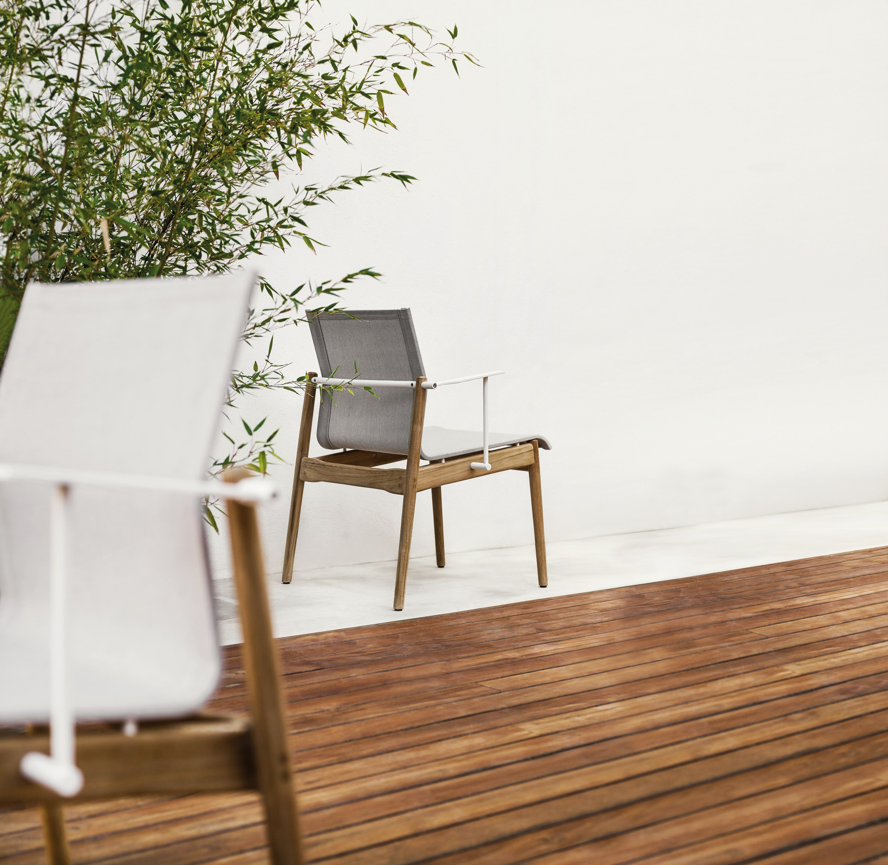 Sway Dining Chair