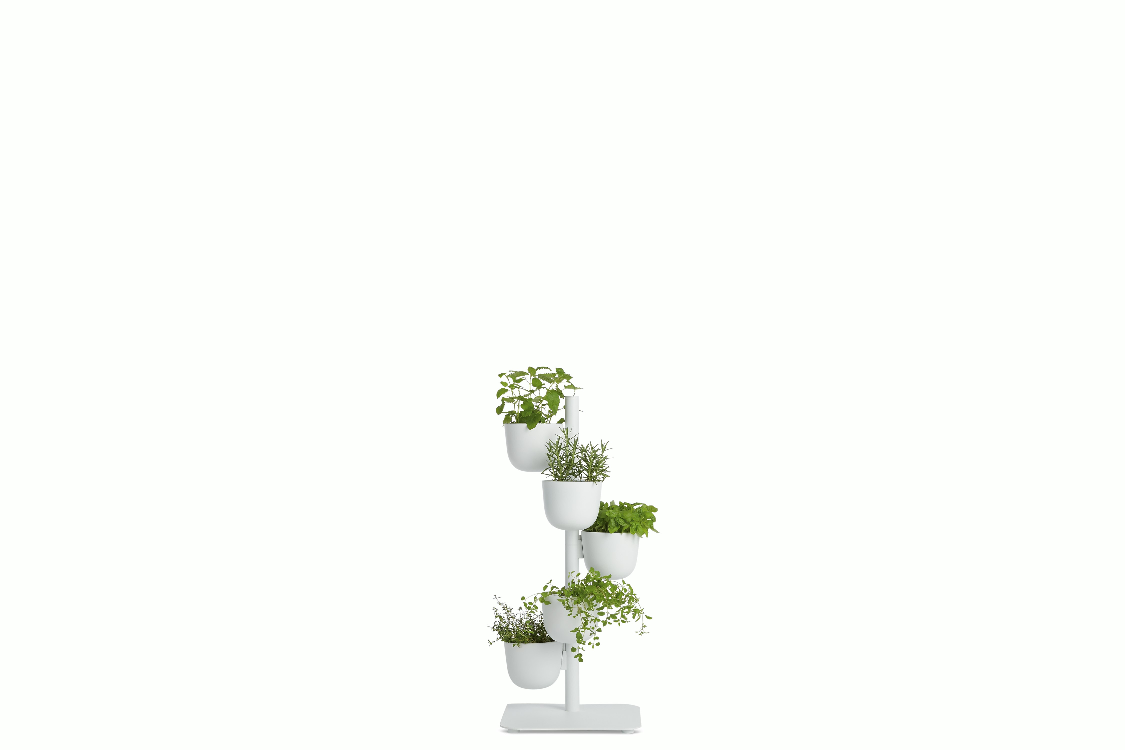 Story Planter