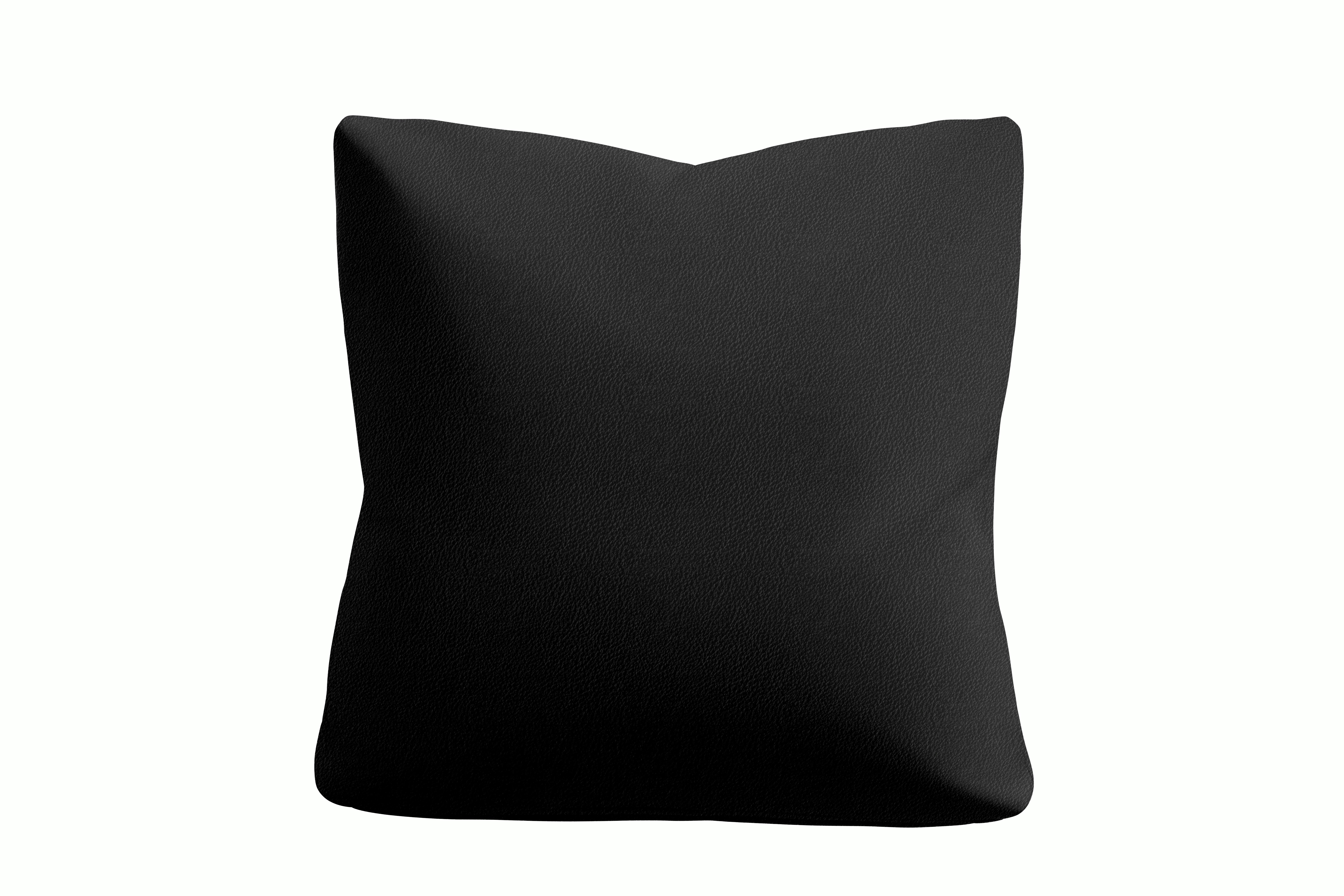 Irvin Throw Pillow - Standard,  Prone Leather,  Obsidian