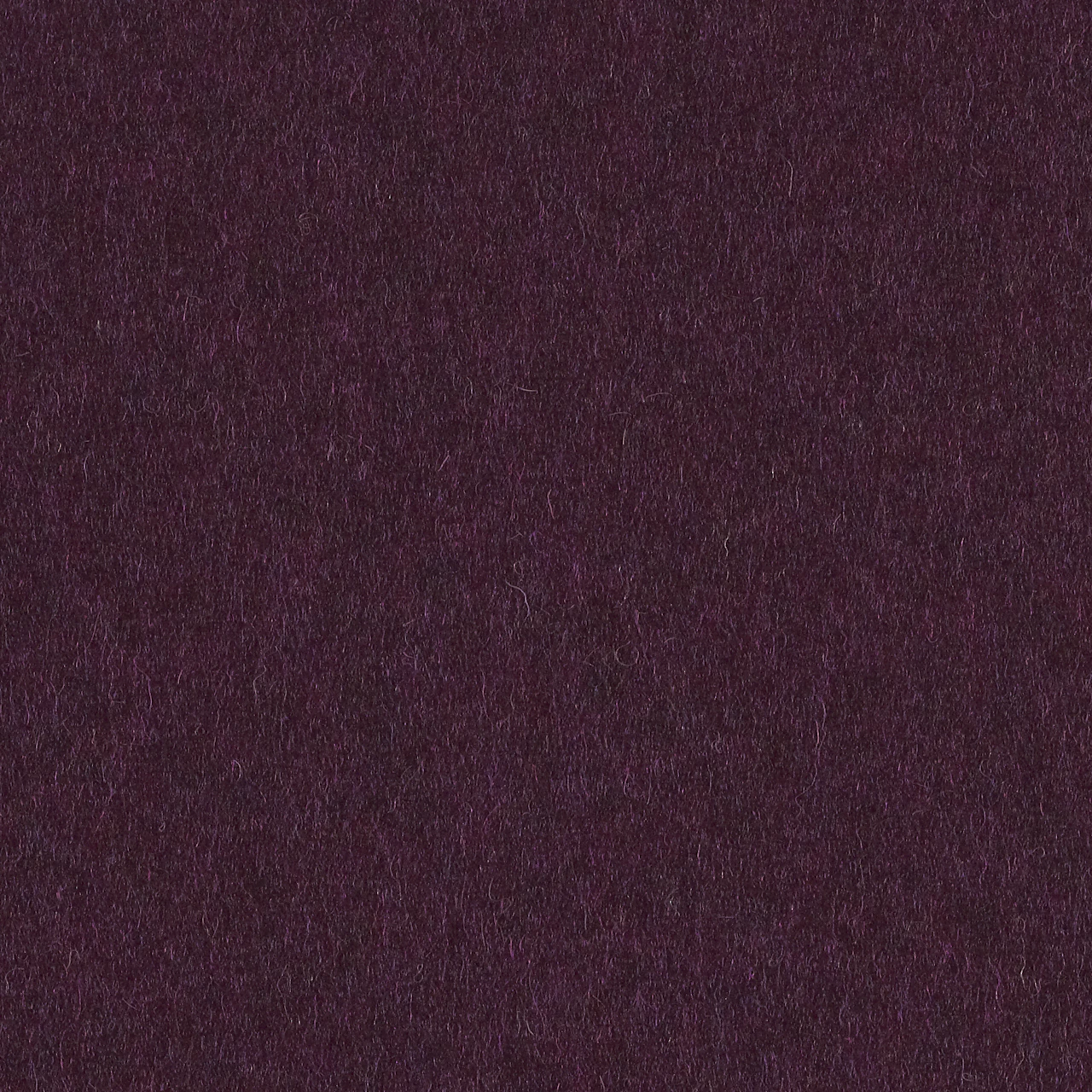 683