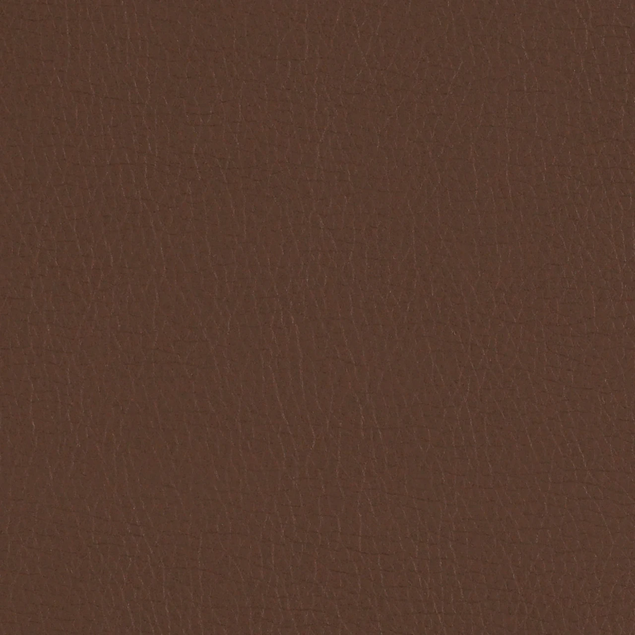 Mica