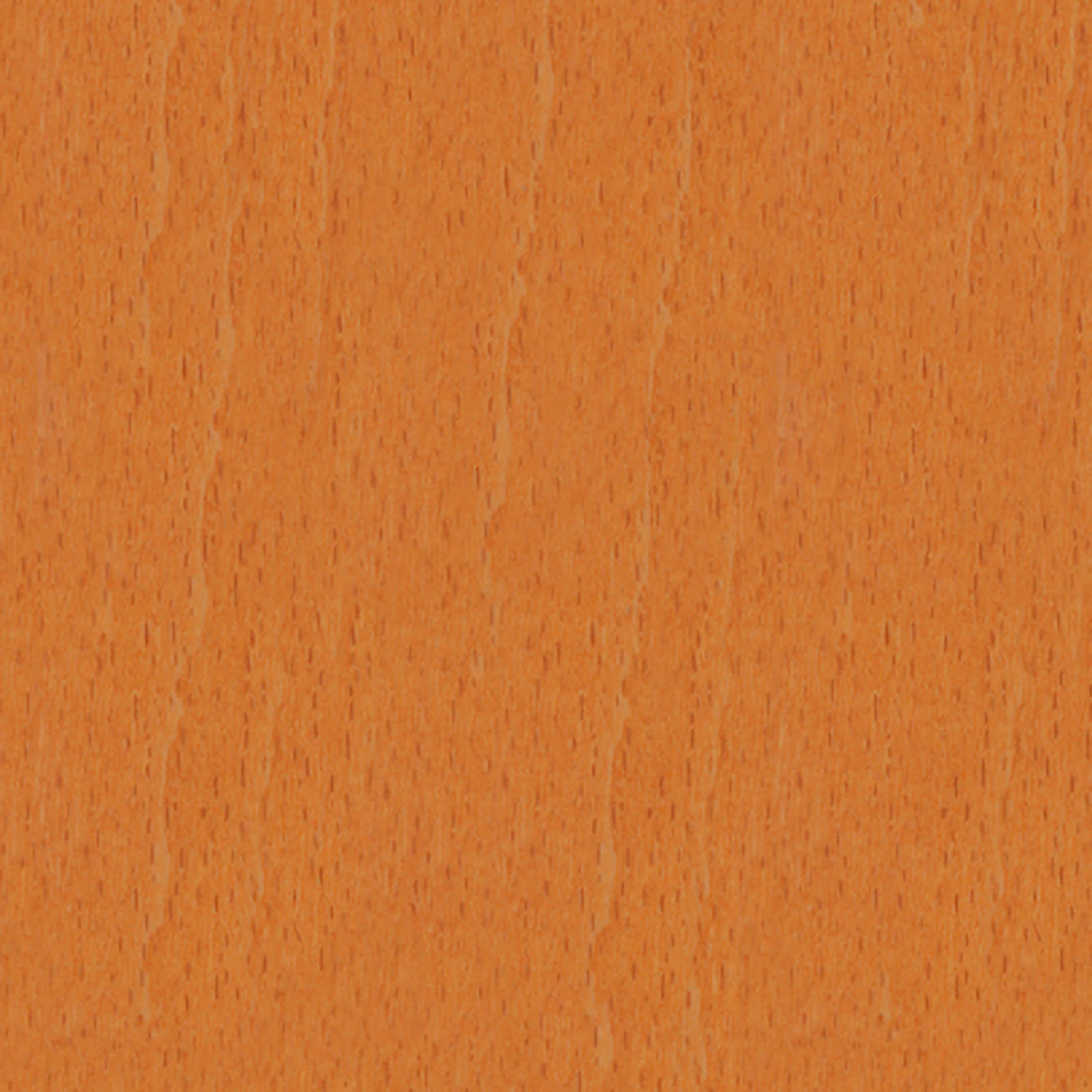 Beech