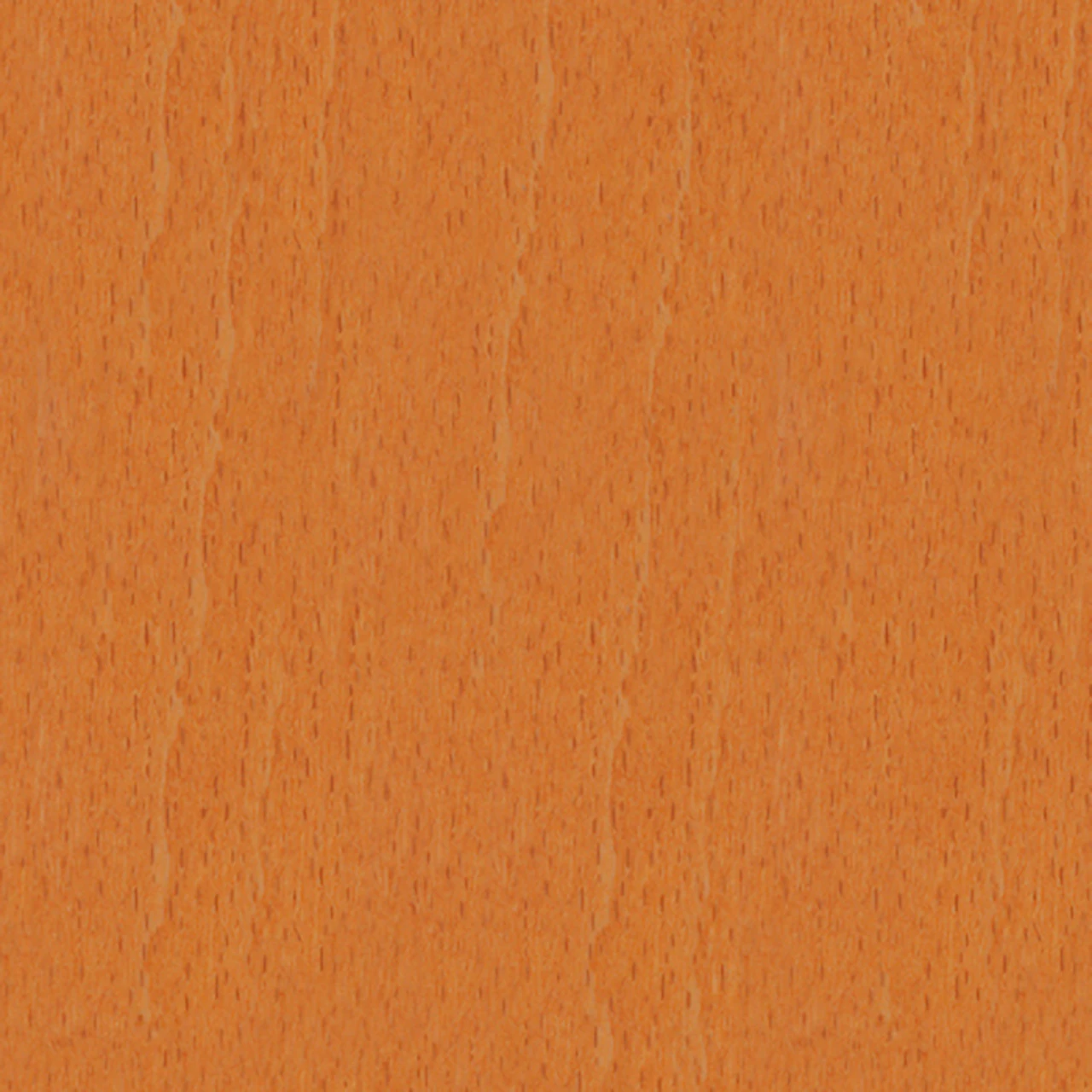 Beech