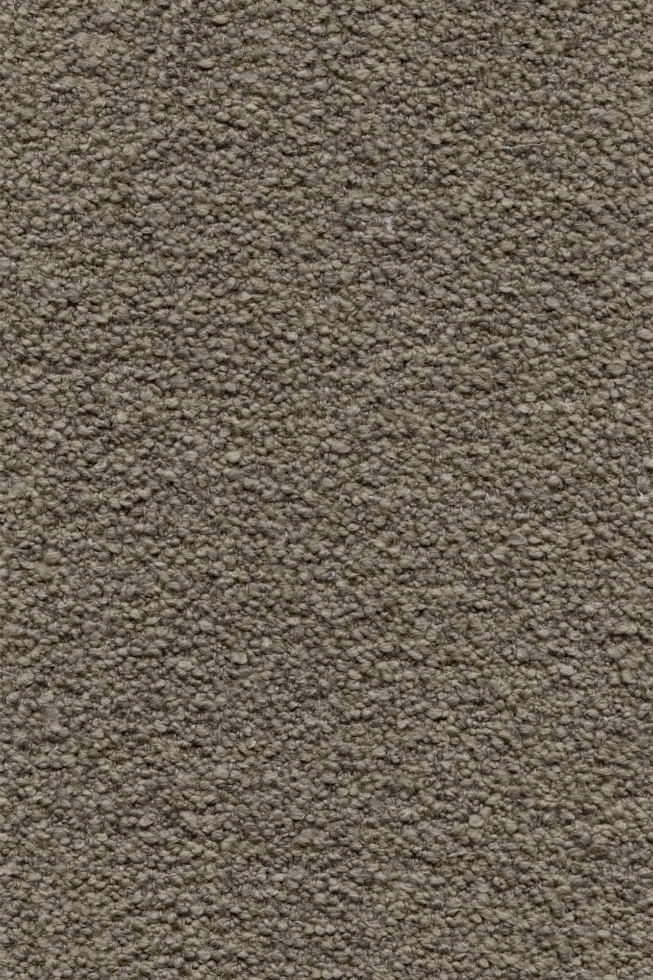 Rye