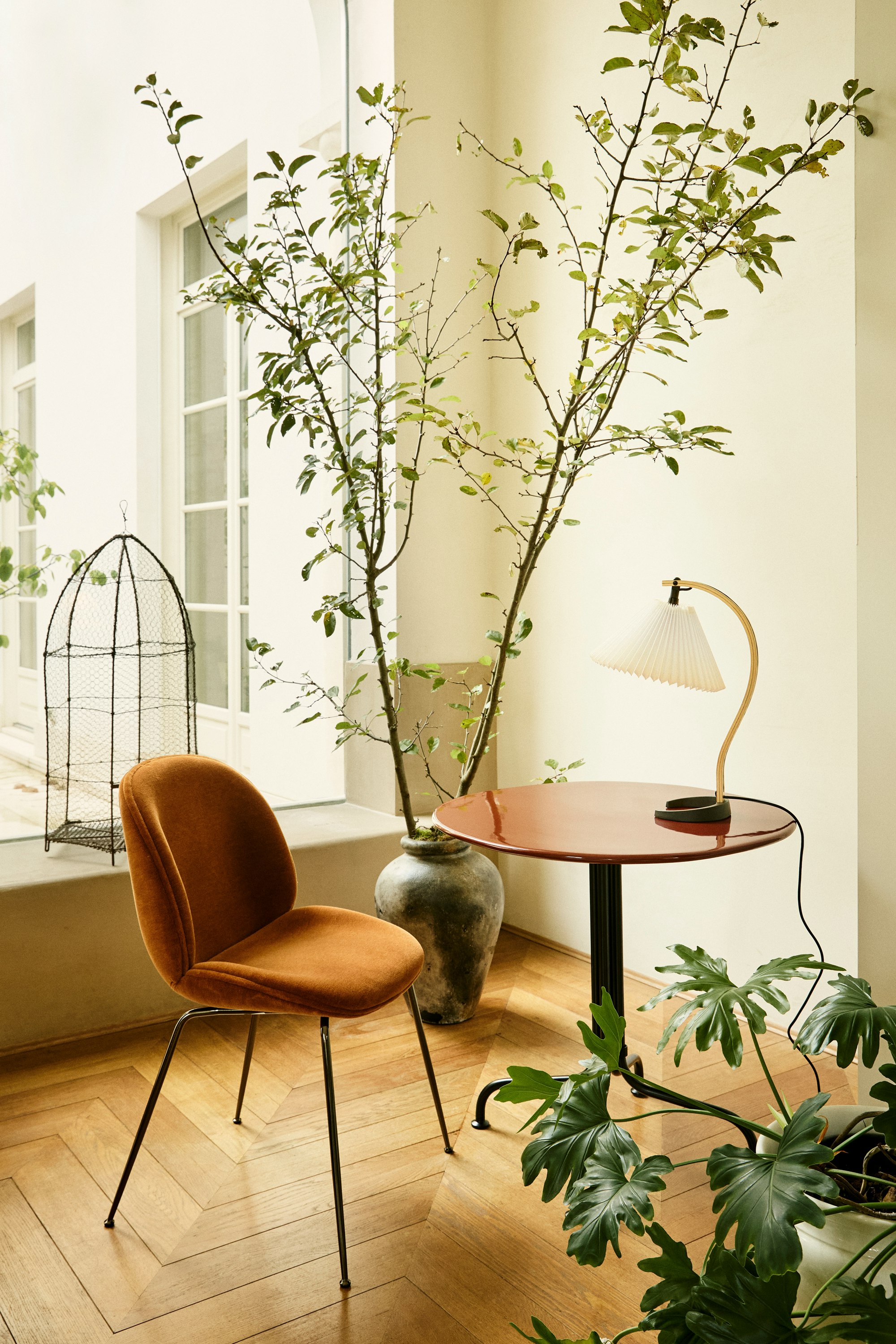 Timberline Collection