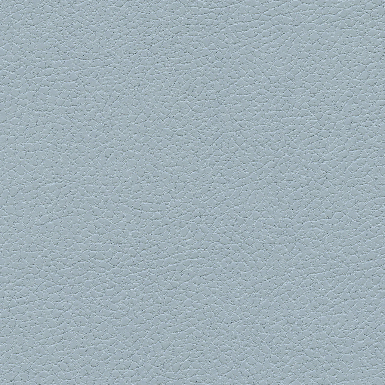Iceberg