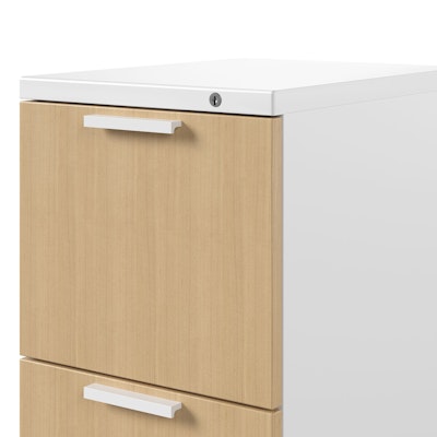 Series 2 Mobile Pedestal