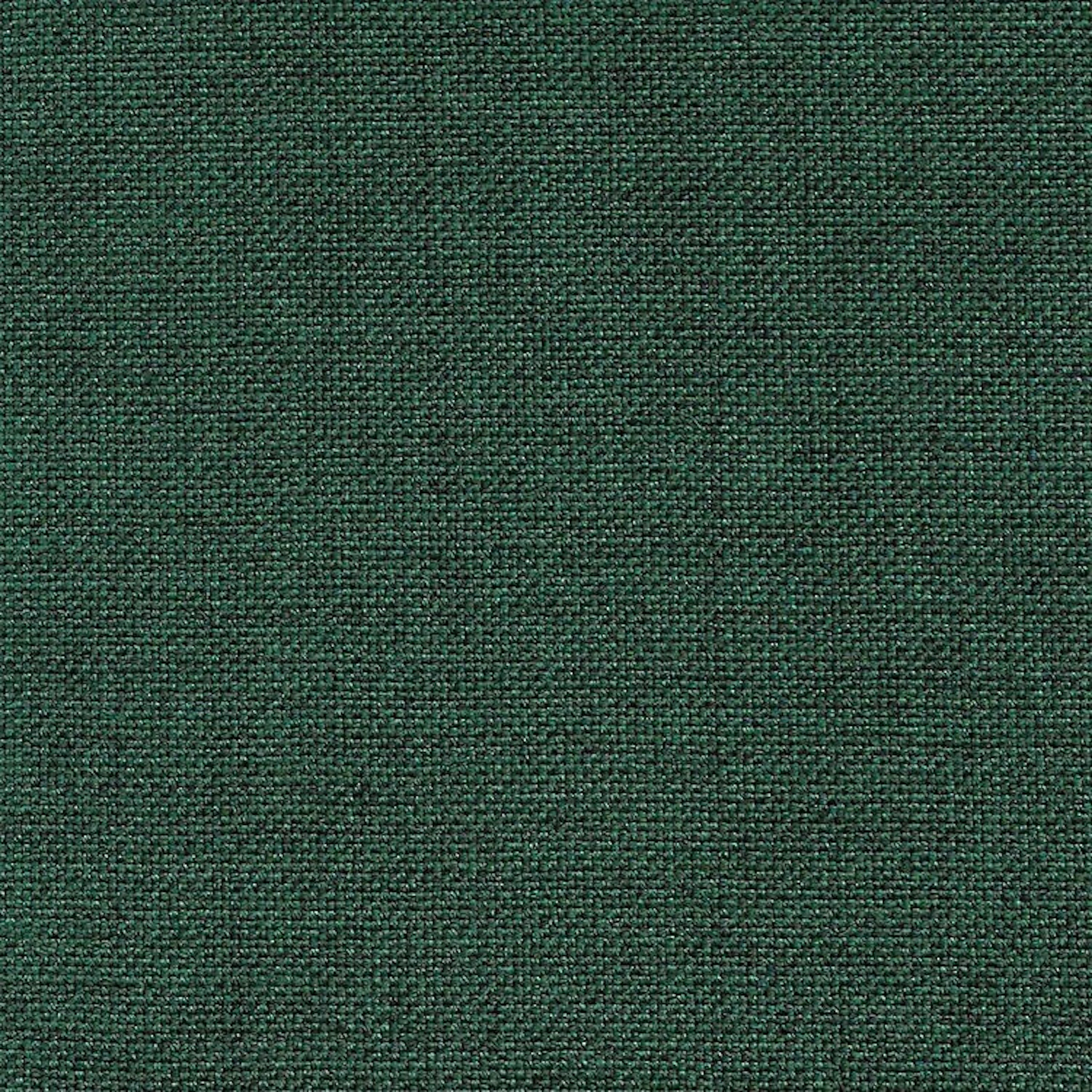 Seto