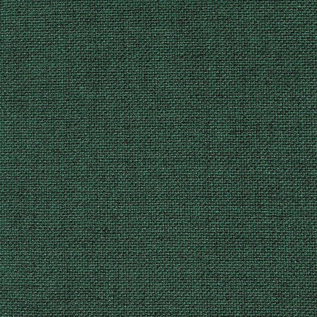 Seto