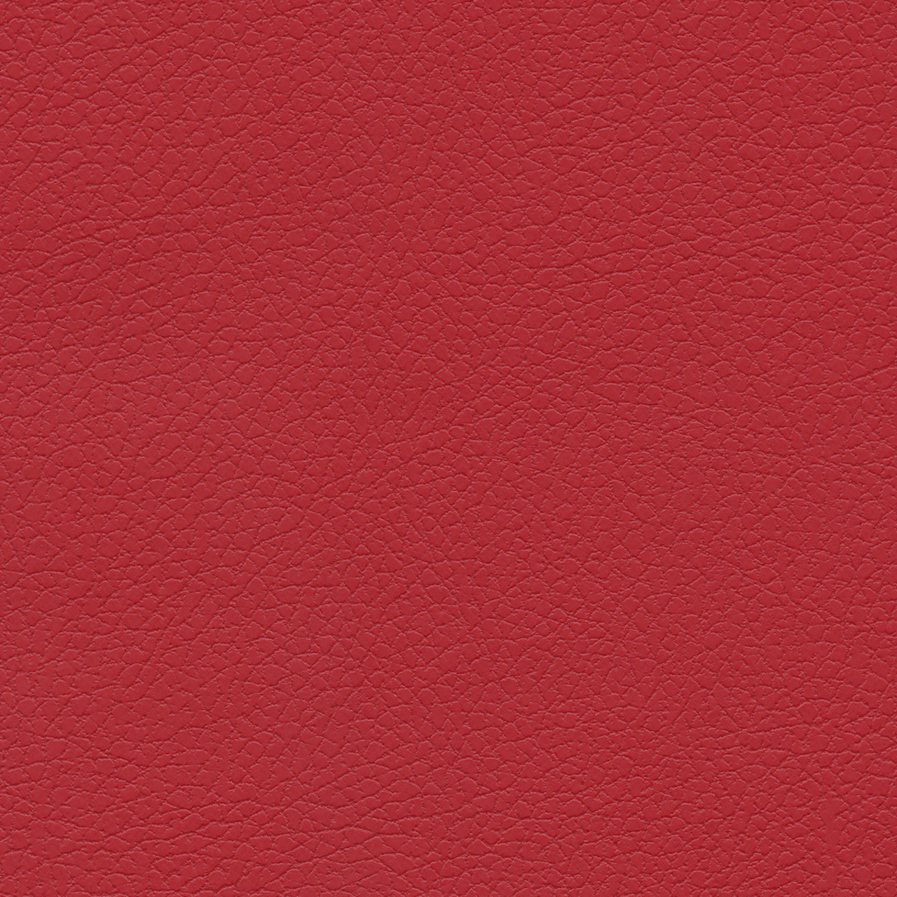 Rose Red