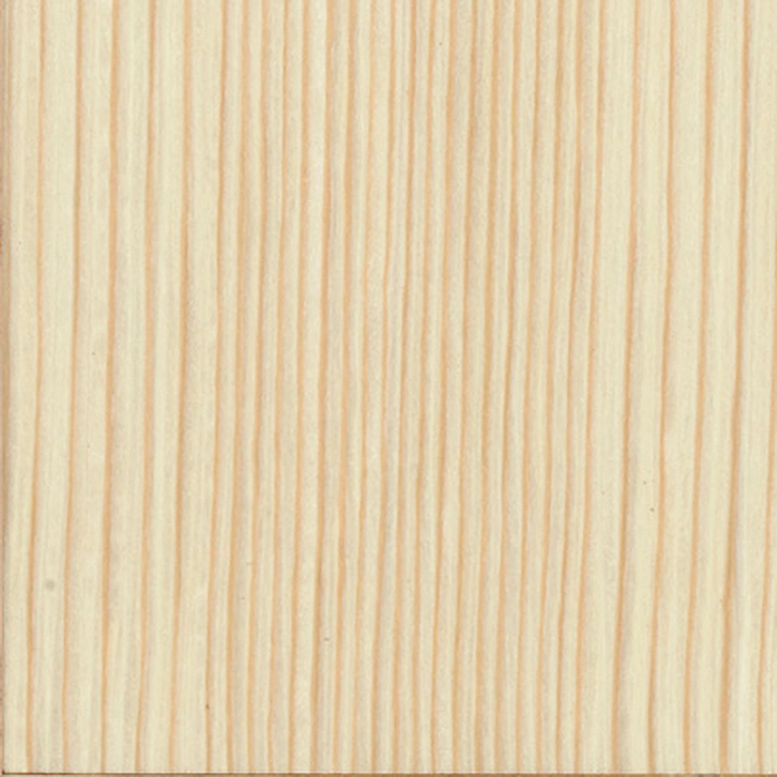 White Pine (V2)