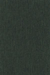 Fir