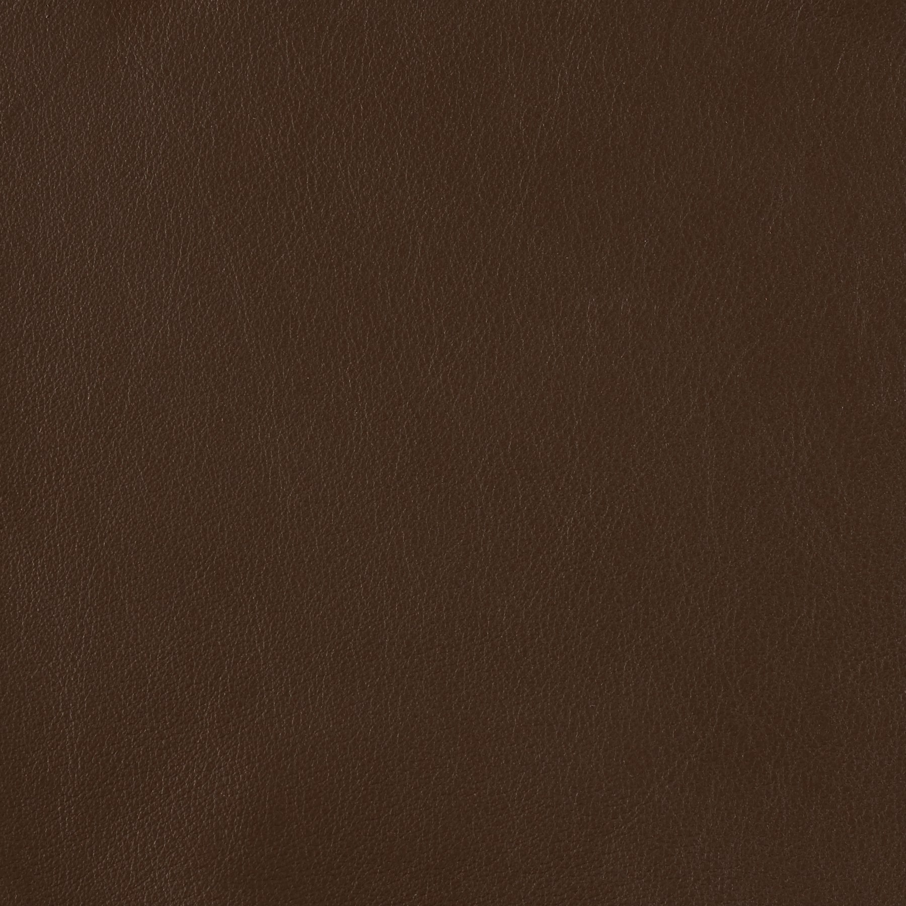 Dark Sienna, 5-565
