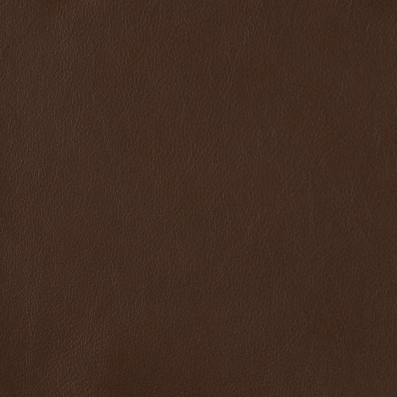 Dark Sienna