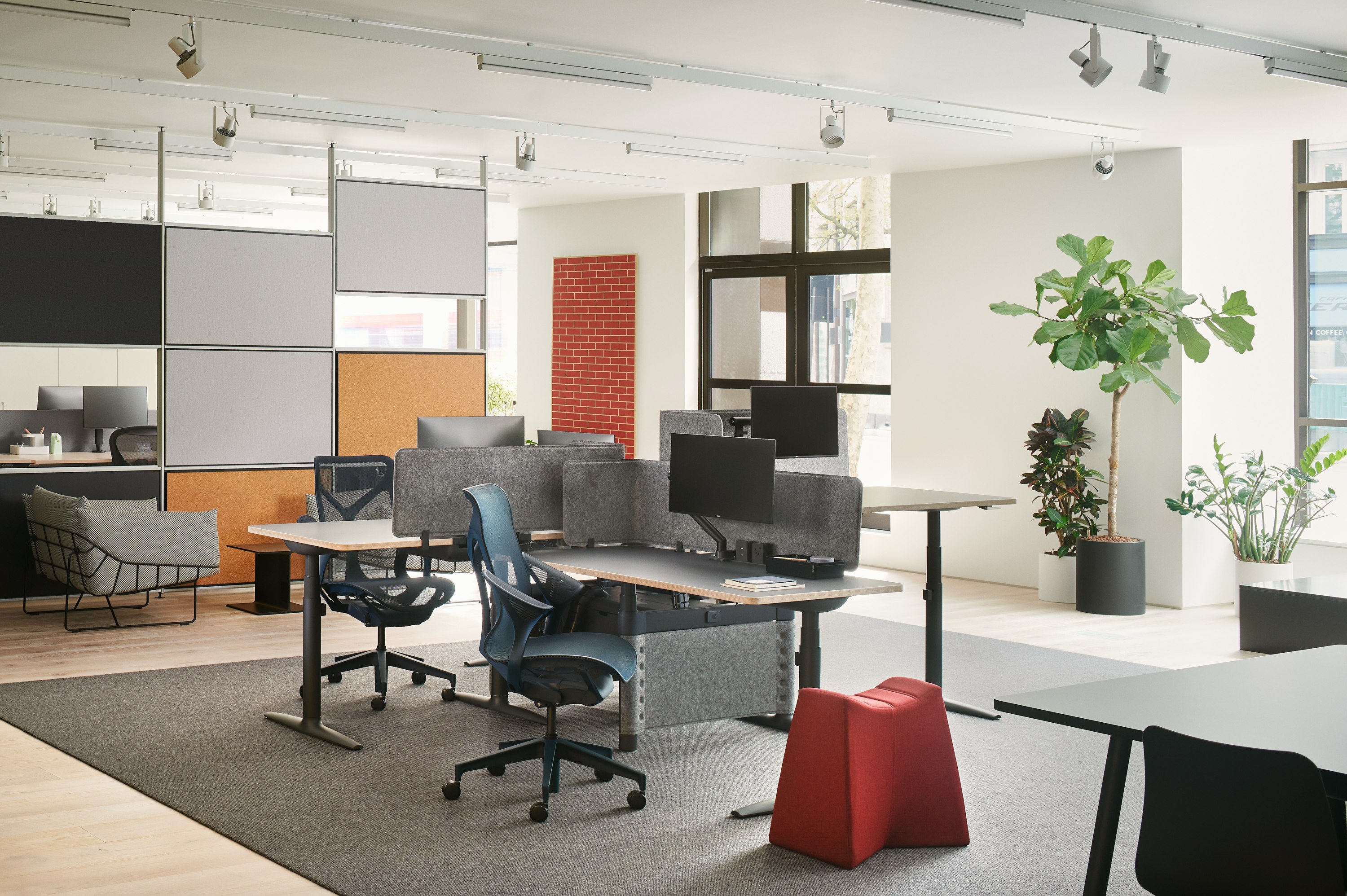 A setting of four Atlas height adjustable desks with screens.