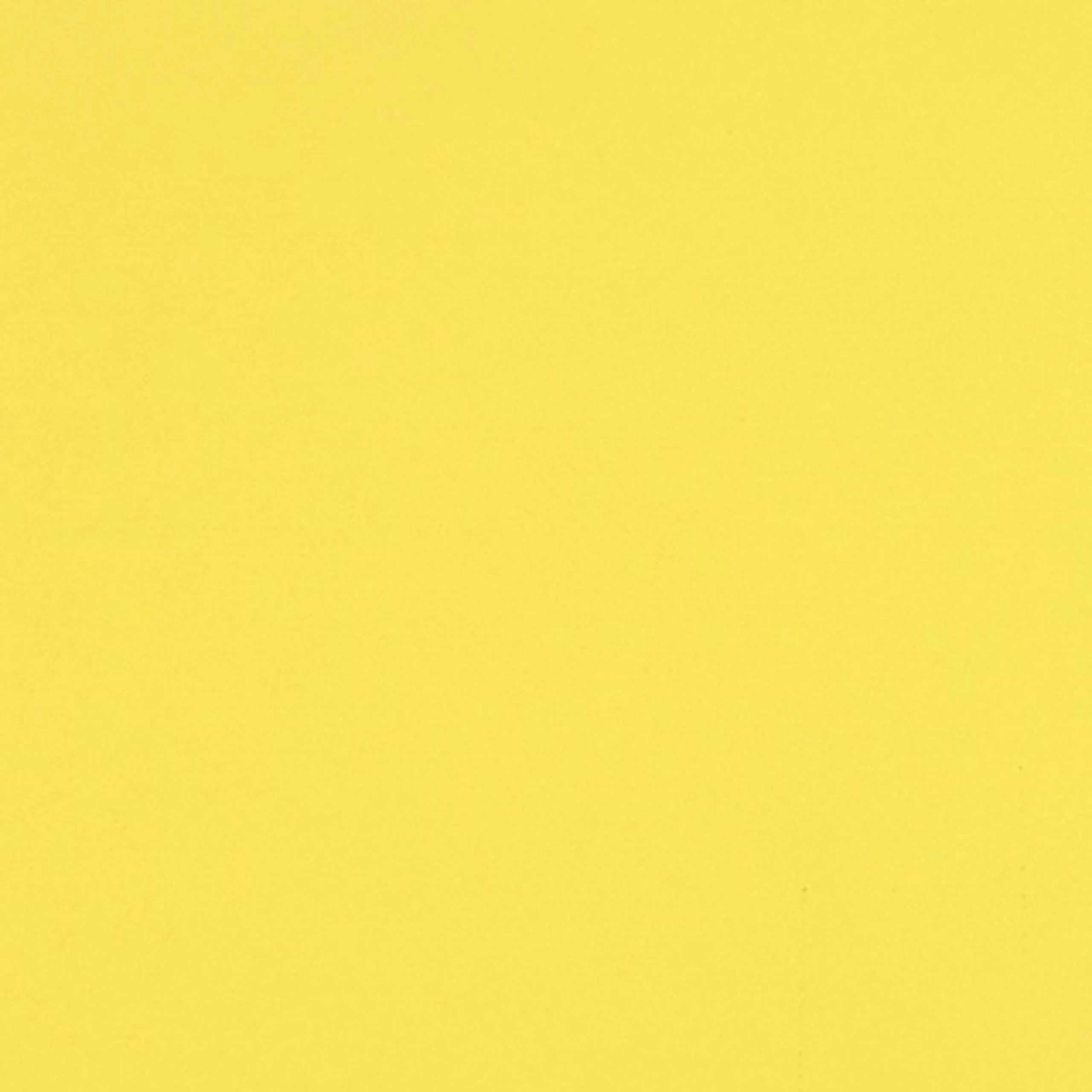 Canary Yellow