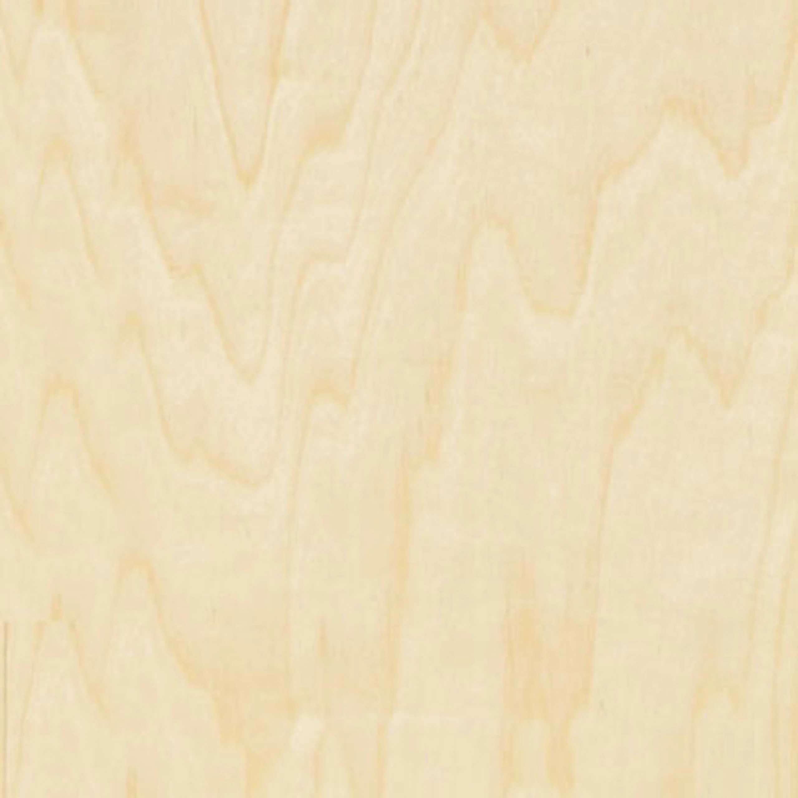 Birch Plywood