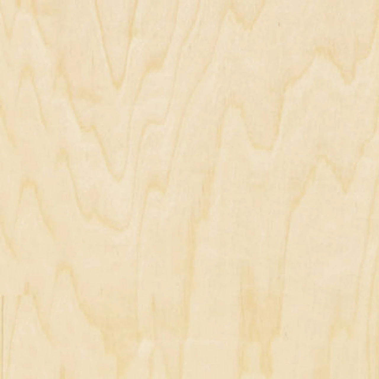Birch Plywood