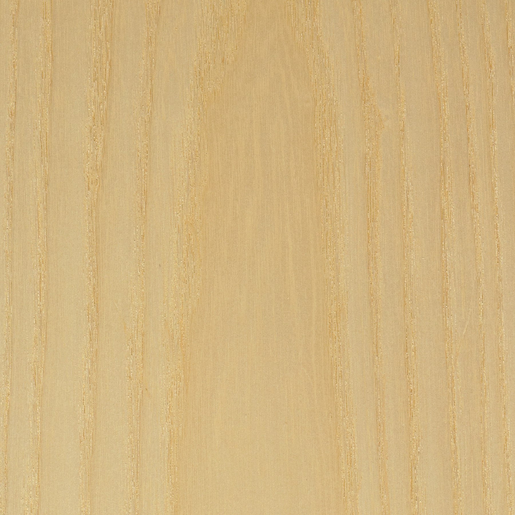 Wood & Veneer Light Ash