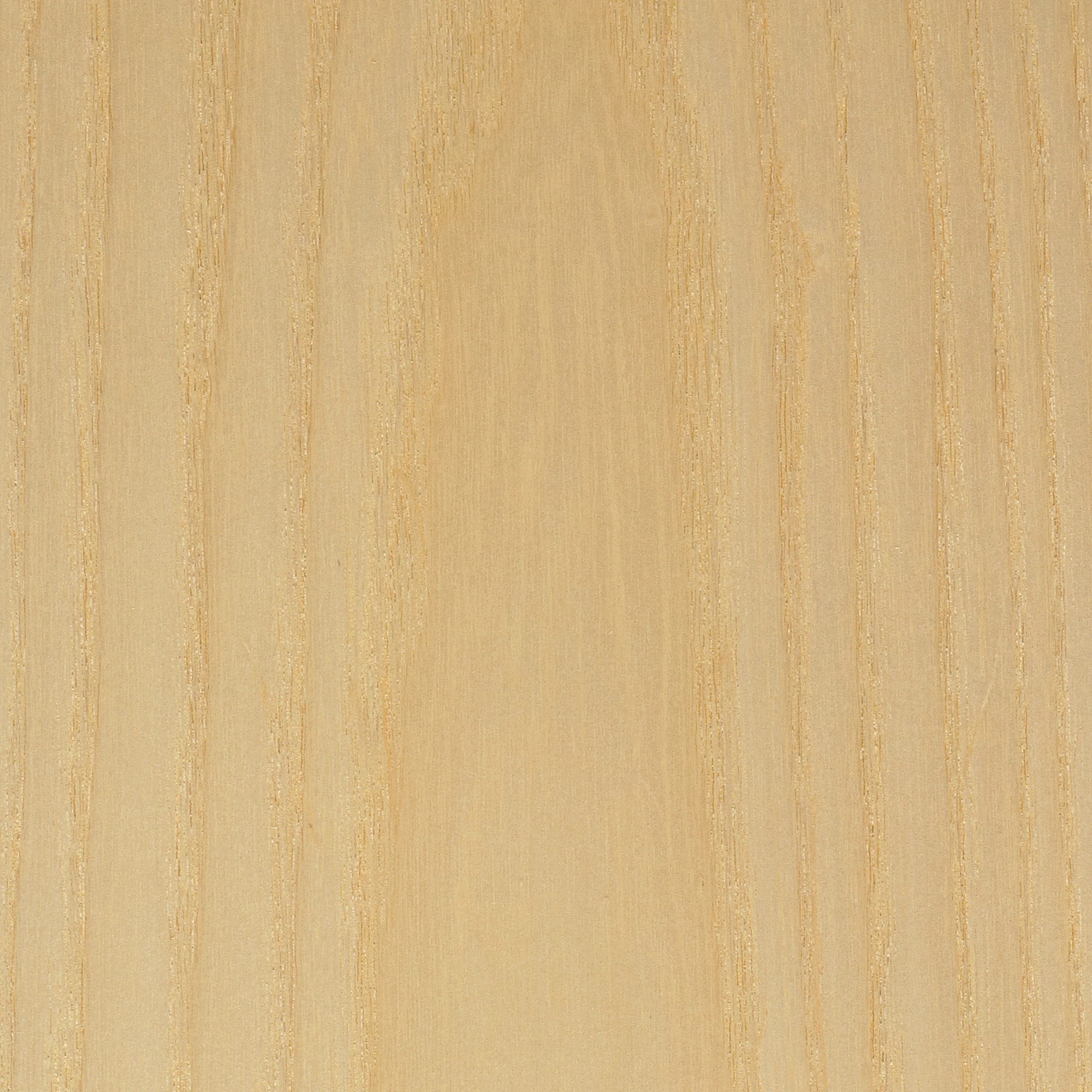 Light Ash