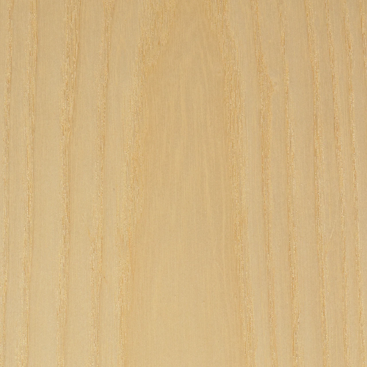 Light Ash