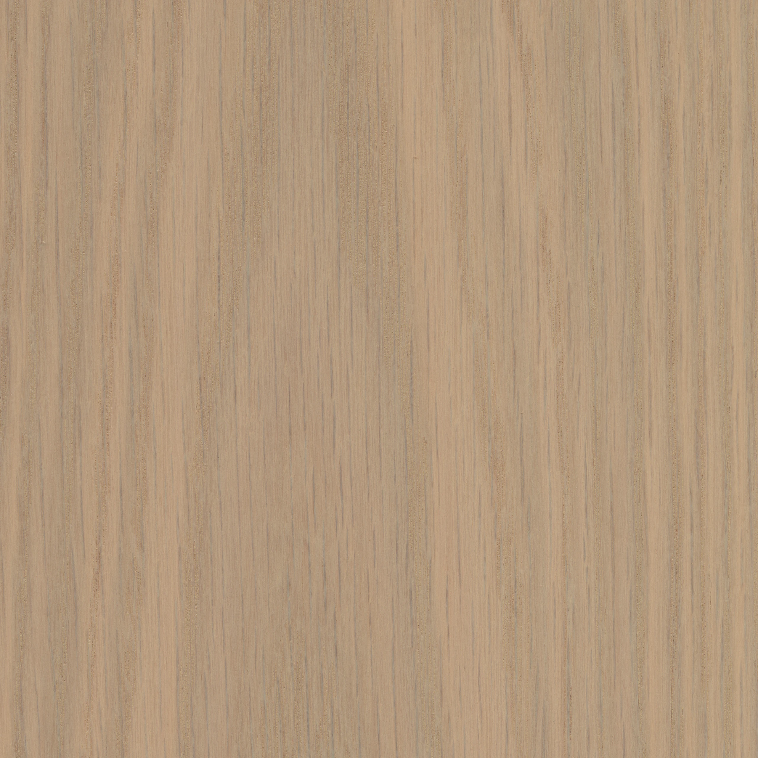 The Blonde Oak finish from the MillerKnoll central palette