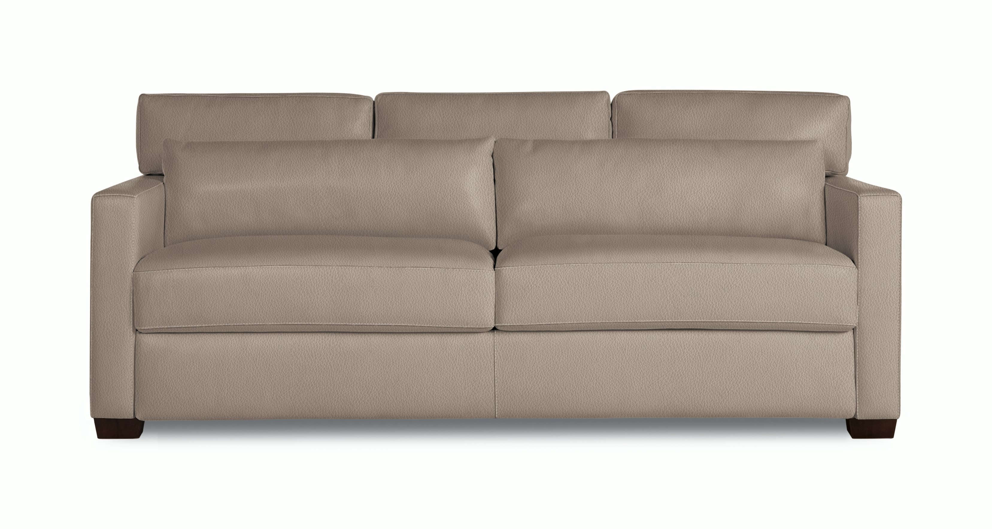 Vesper Sleeper Sofa, Leather
