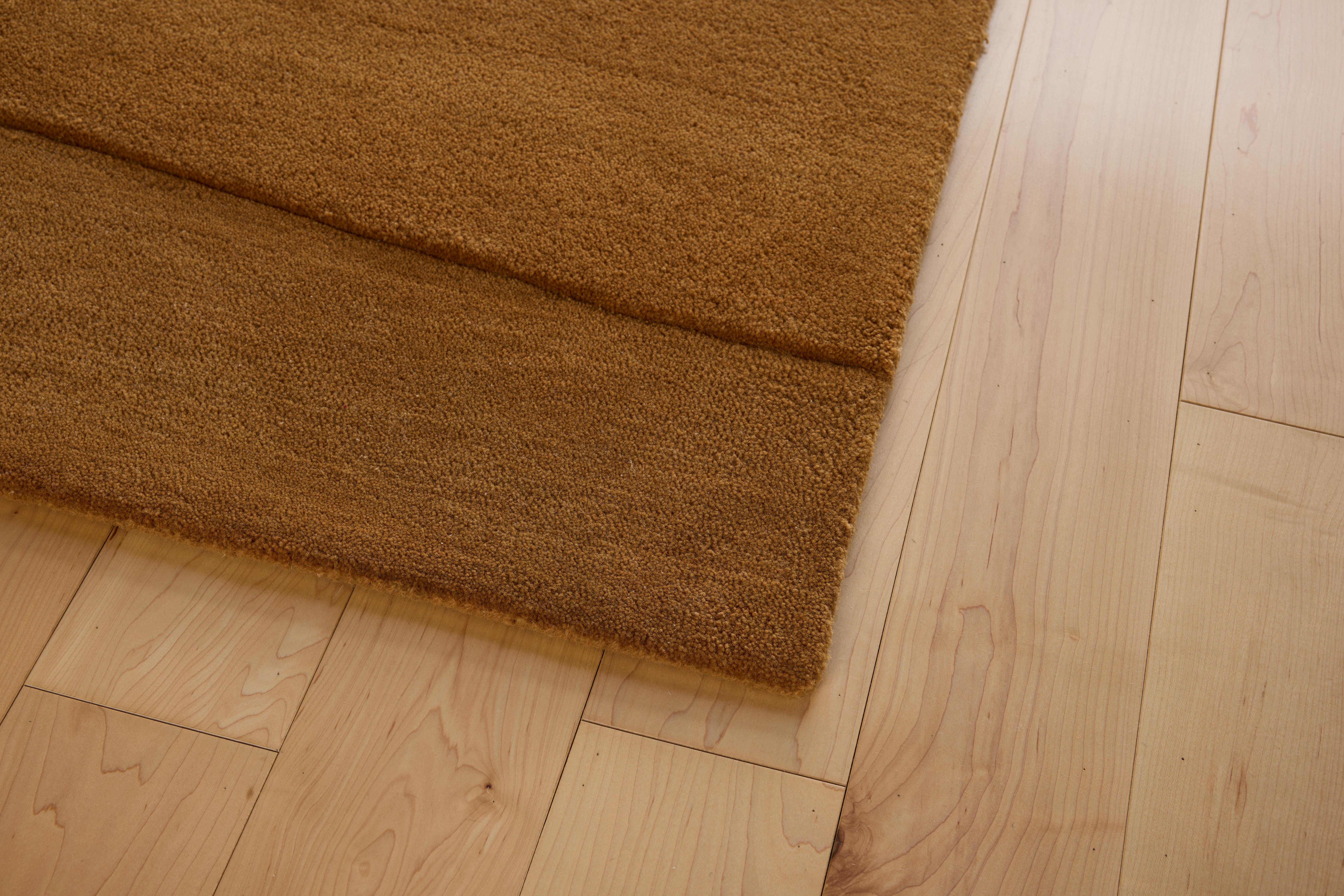 A detailed look at a Simple Curve Rug in Rust.