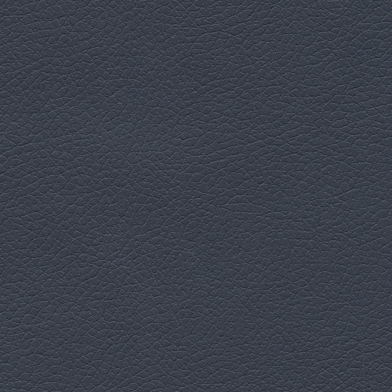 Night Navy