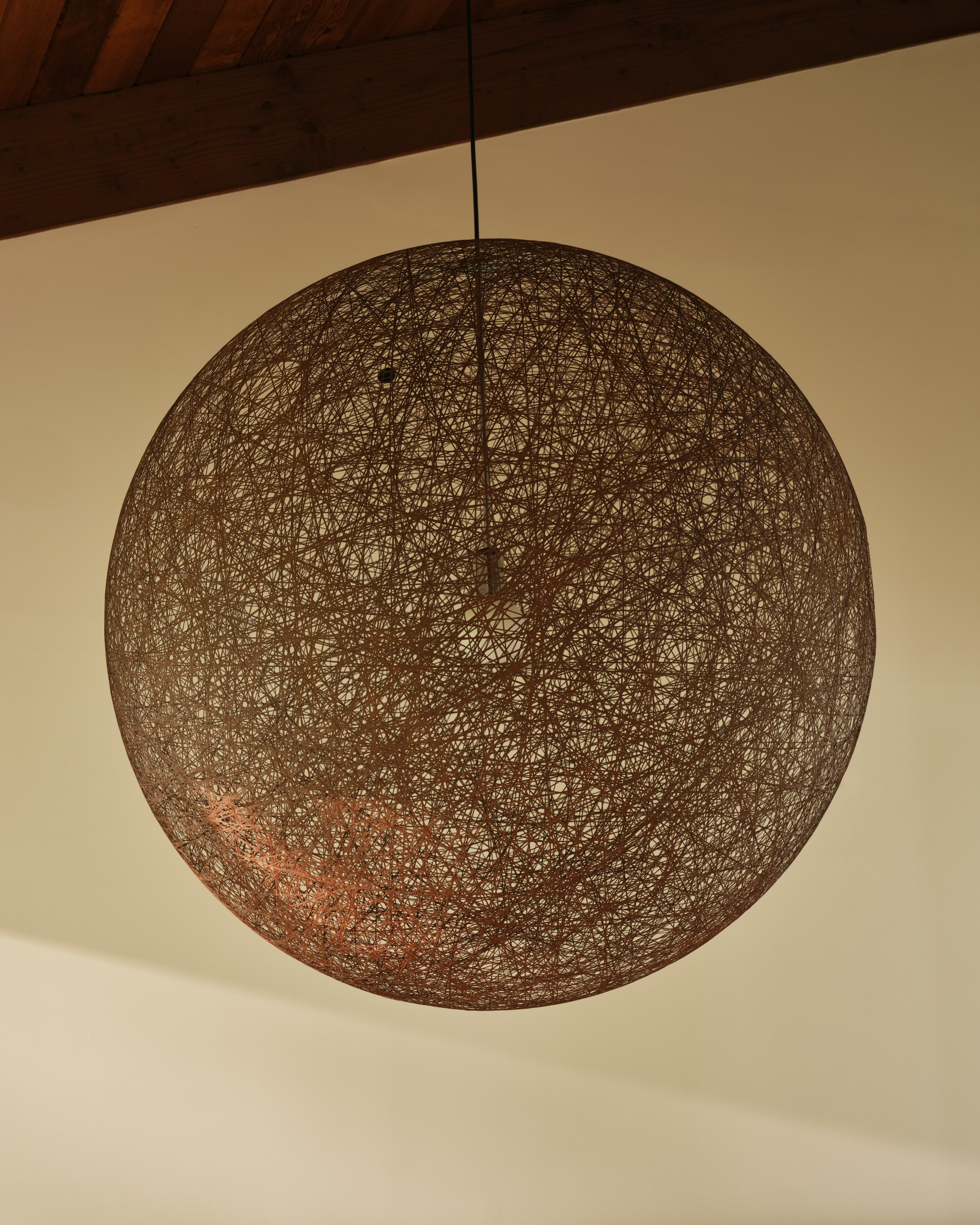 Ceiling + Pendant Lamps