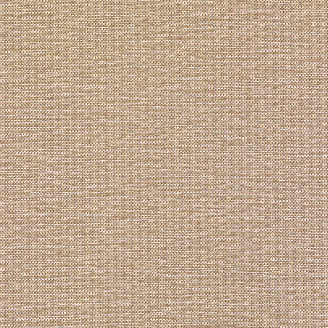 Bisque