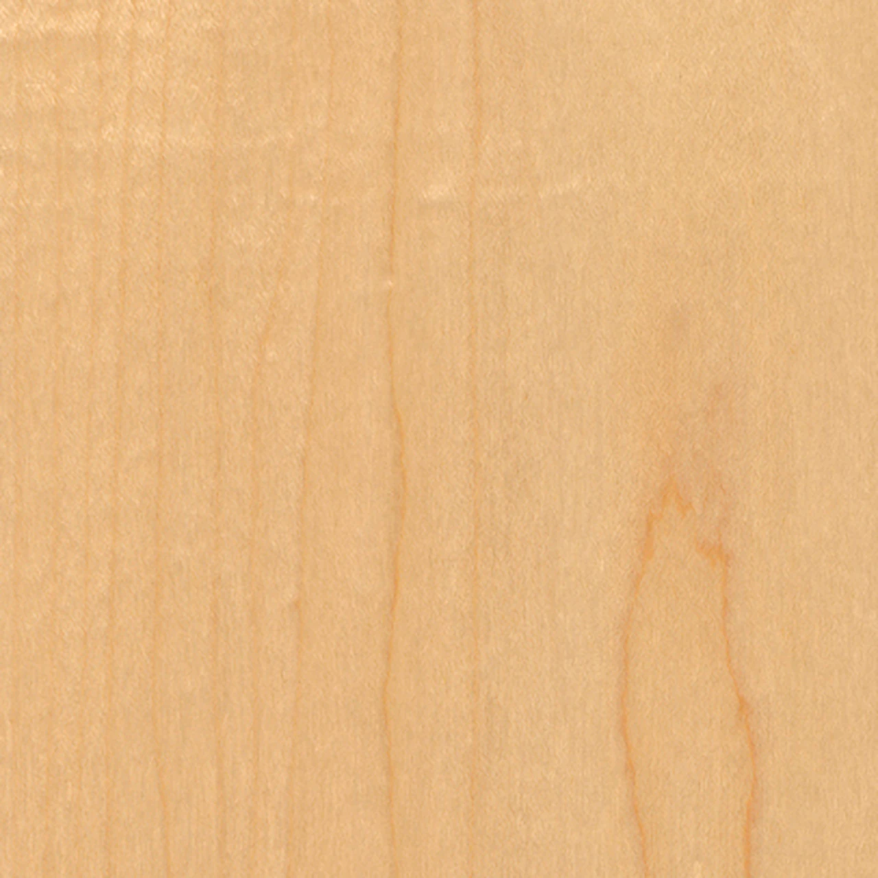 Maple (V2)