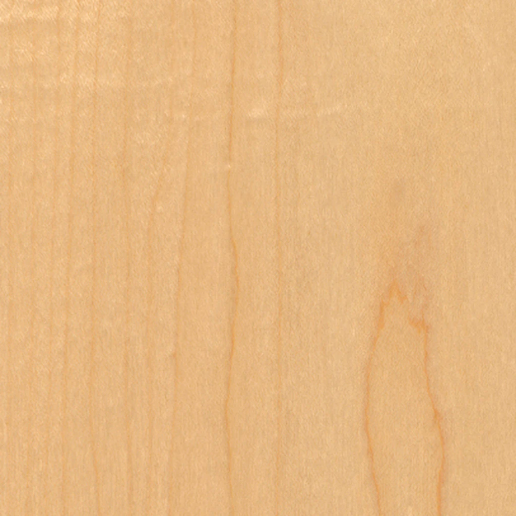 Maple (V2)