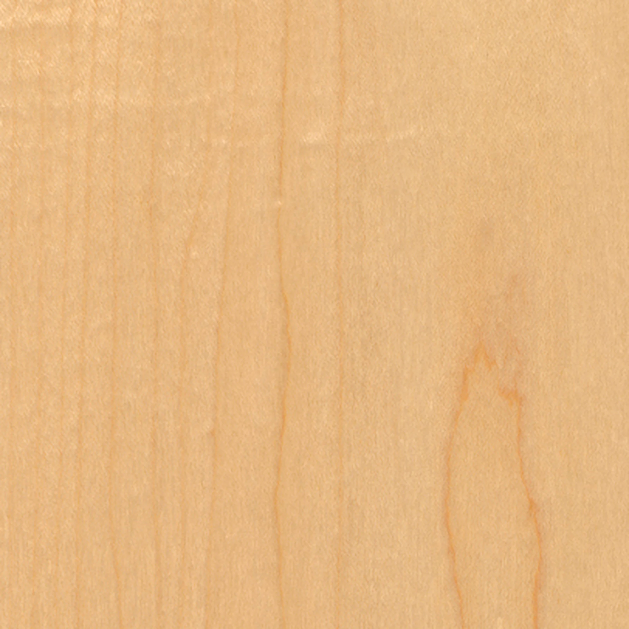 Maple (V2)