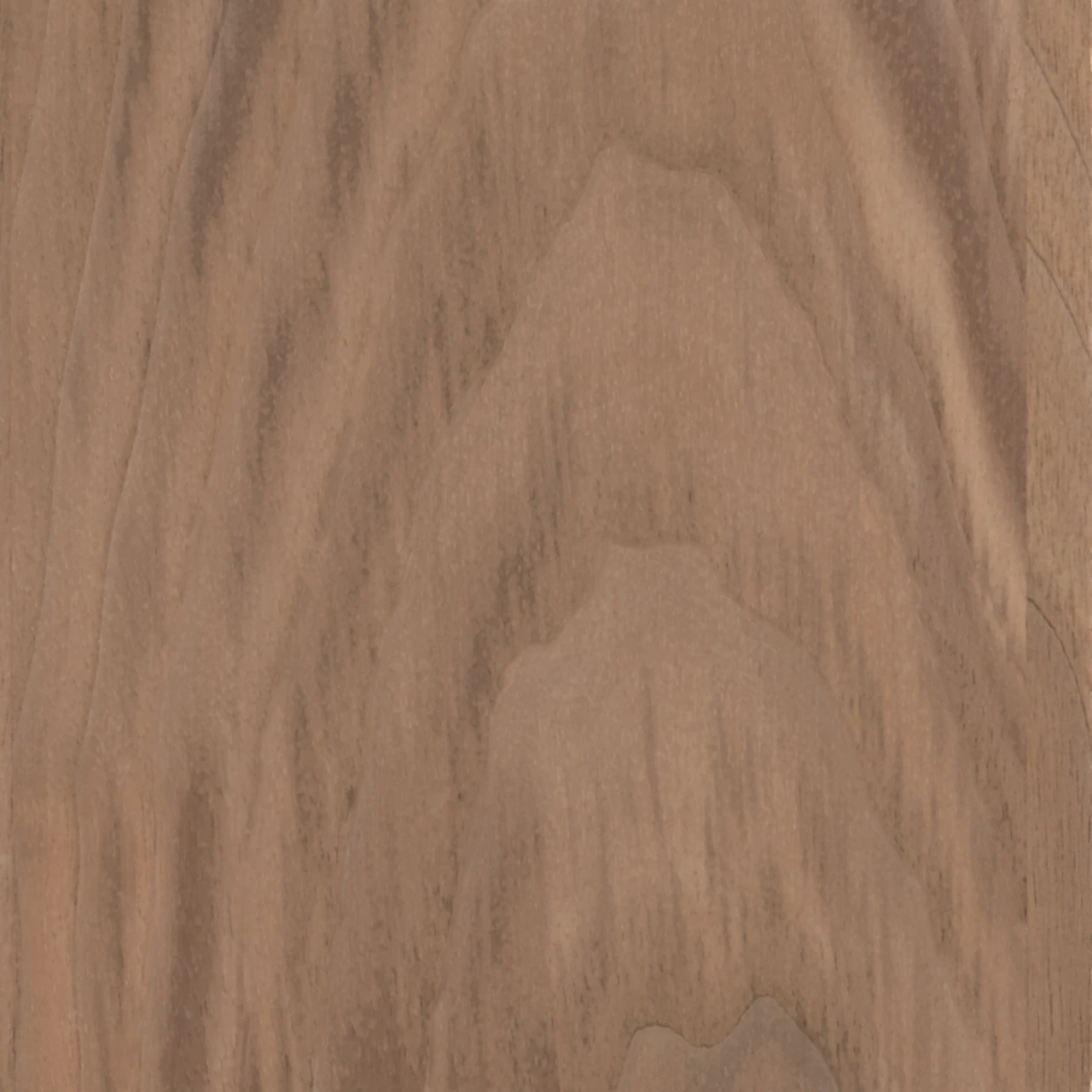 Walnut Hardwood