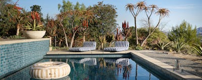 Oliver James Lilos Pool Float Collection