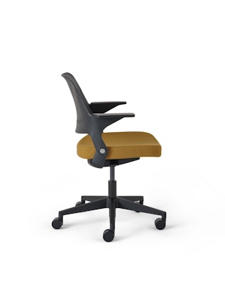 Ollo with Shell Back