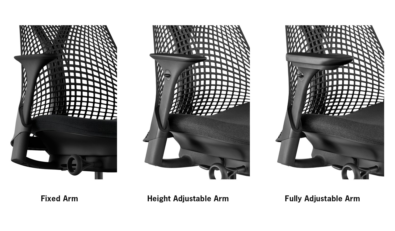 Sayl Chair