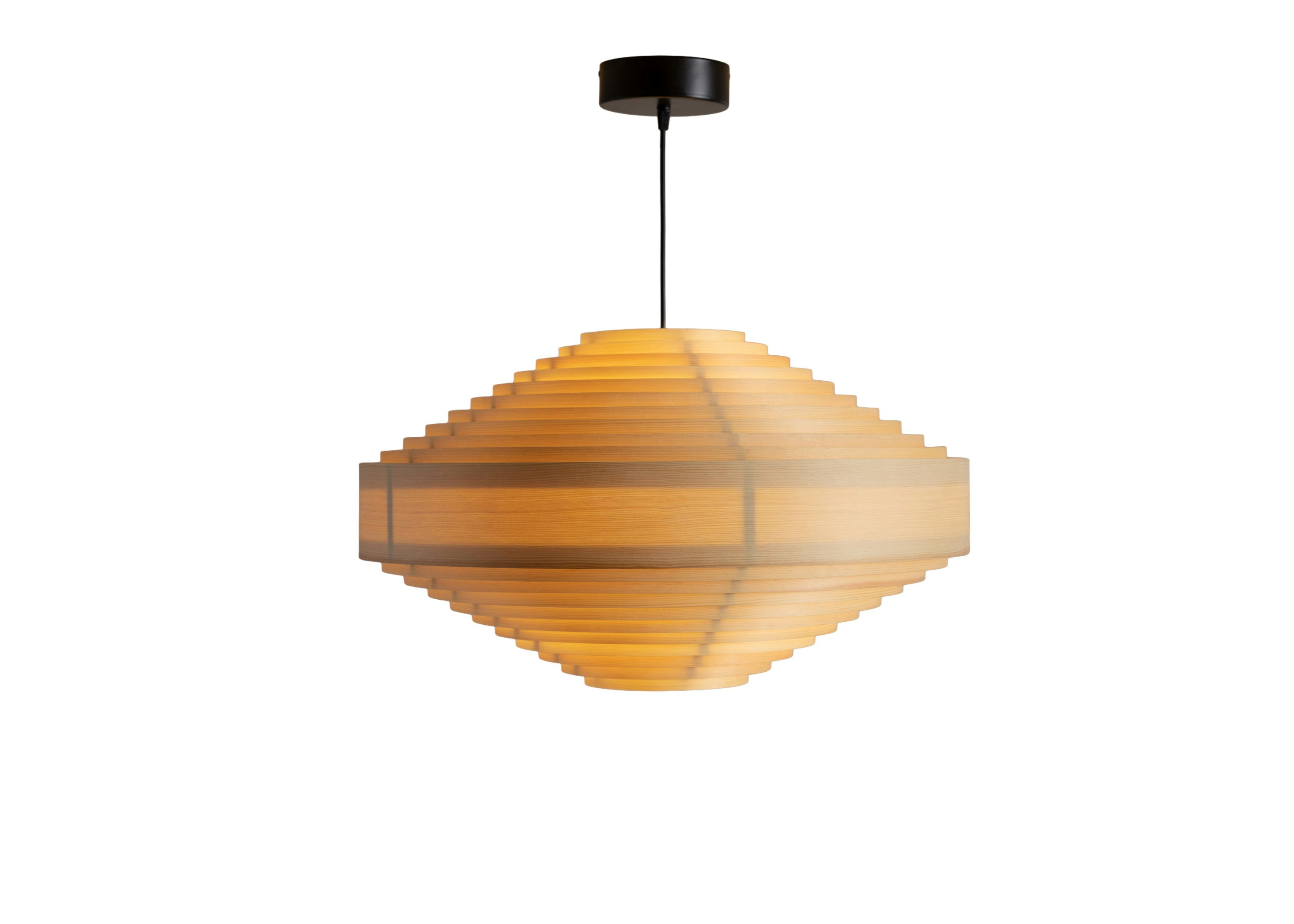 1003 Hans Pendant - 24 Inch