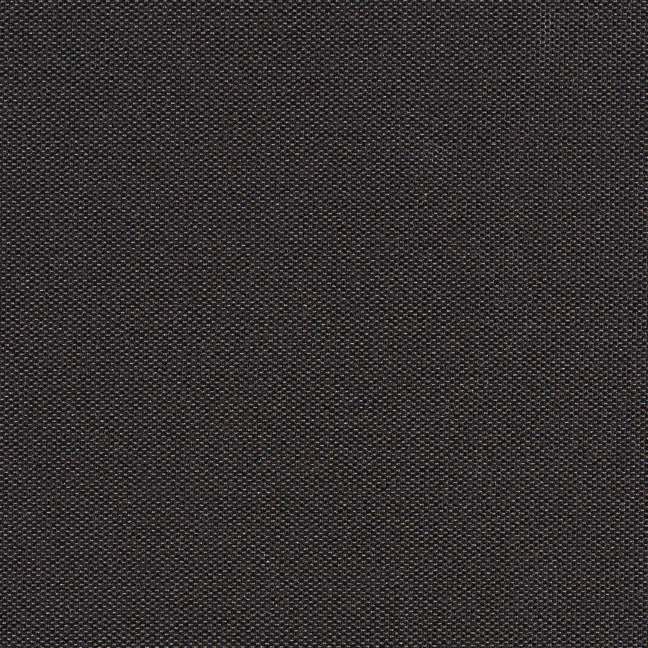 Seed