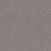 Fossil