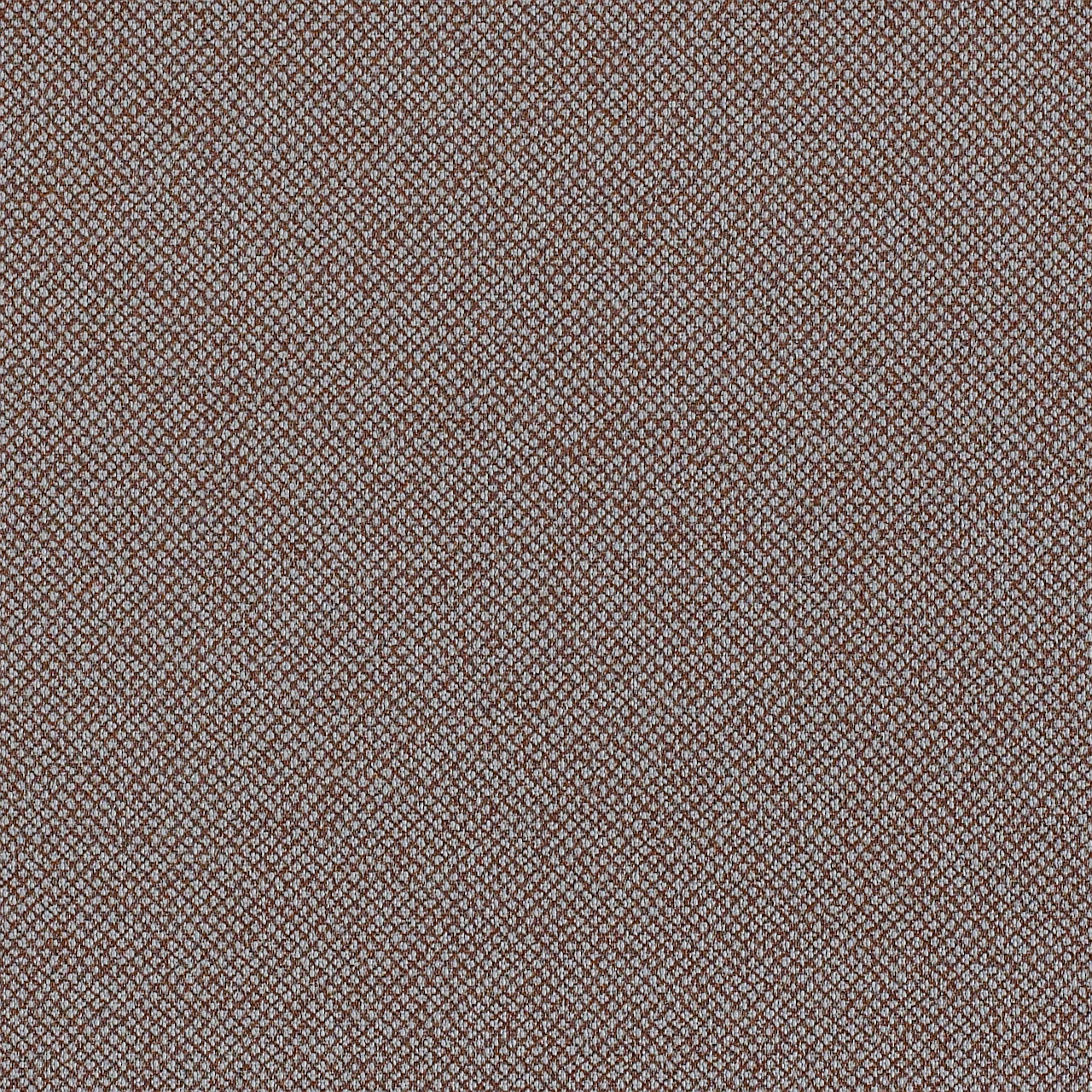 Fossil