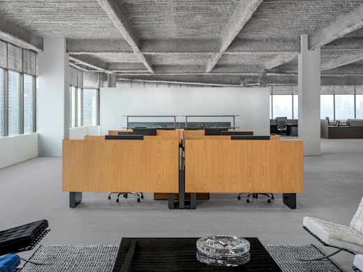 Dividends Skyline System Screens