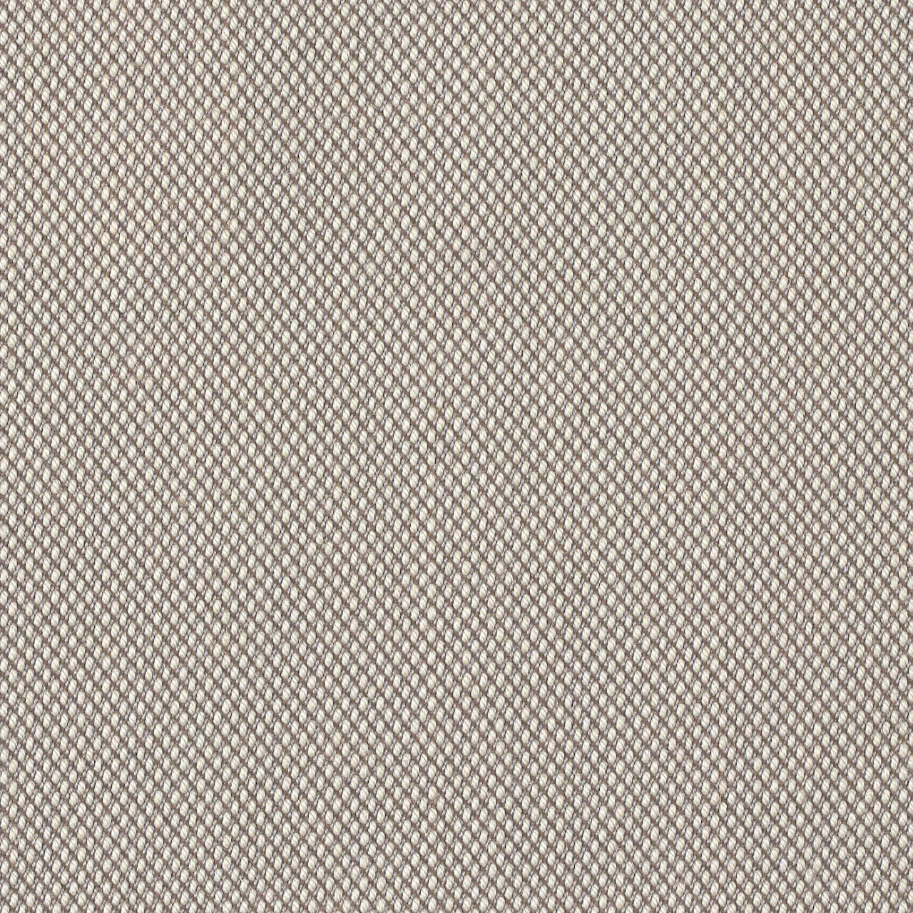 205