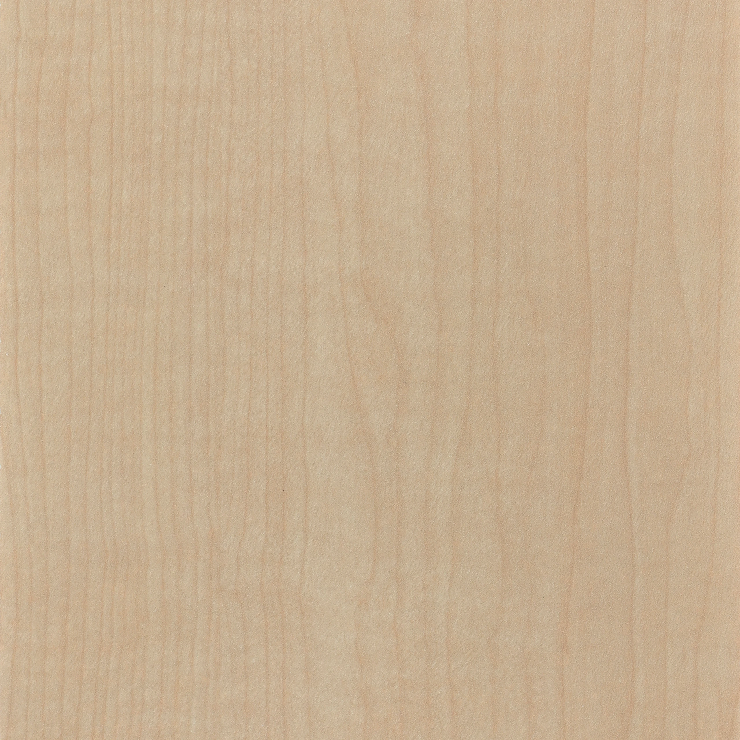 Natural Maple