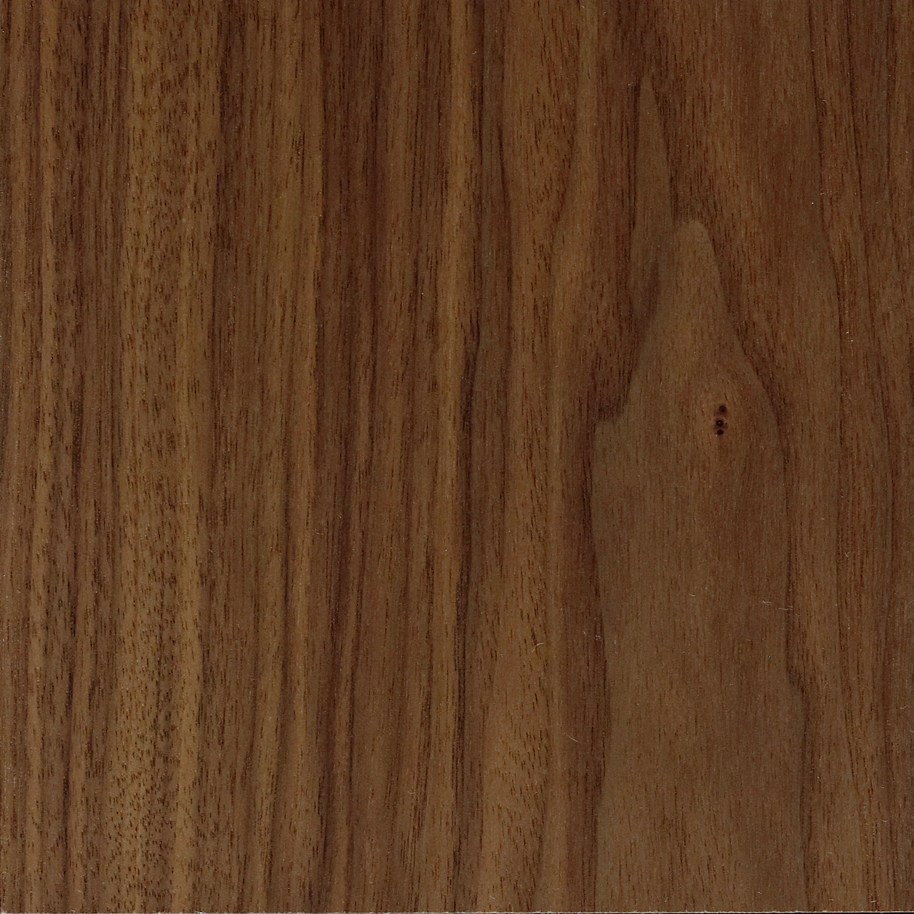 Oiled Walnut