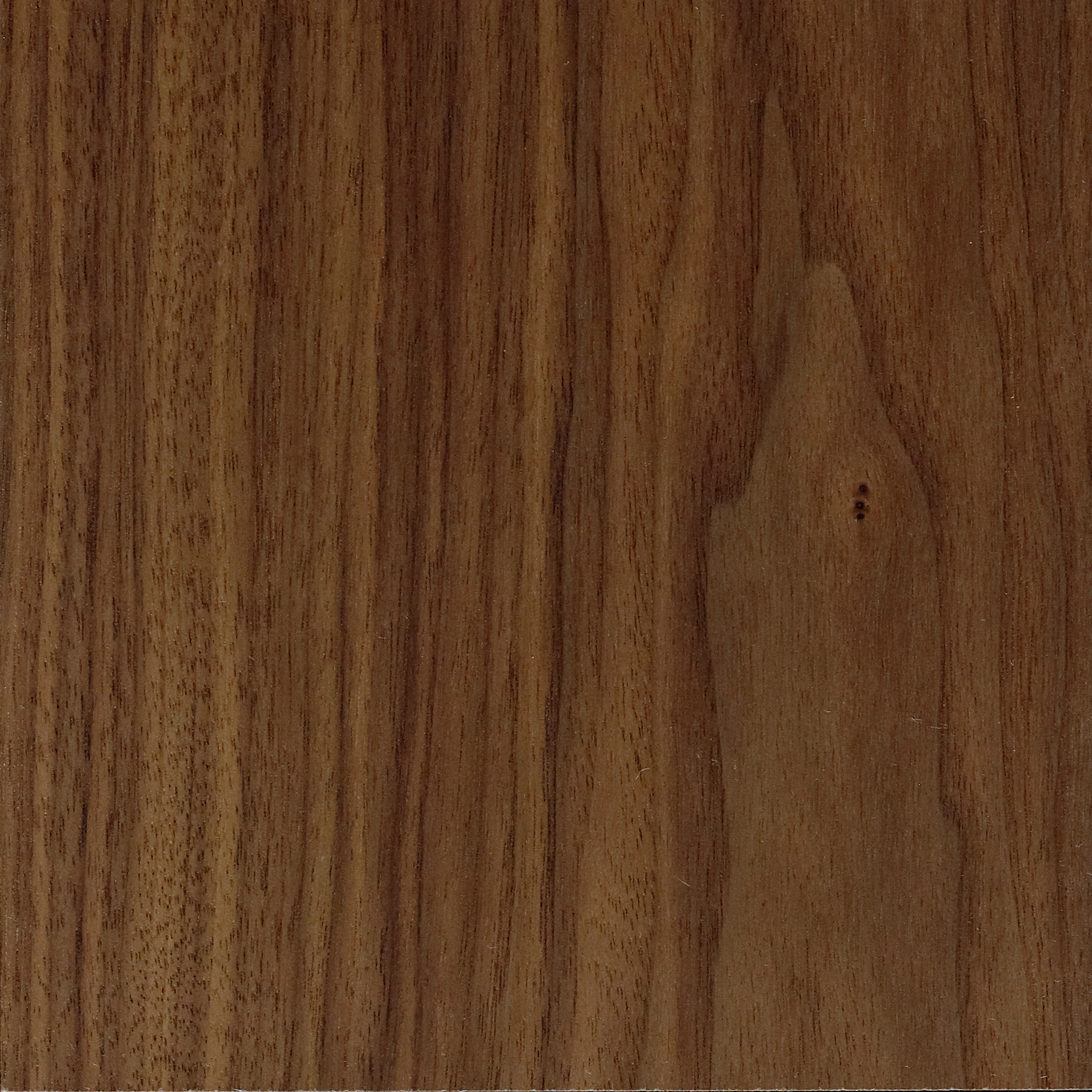 Oiled Walnut