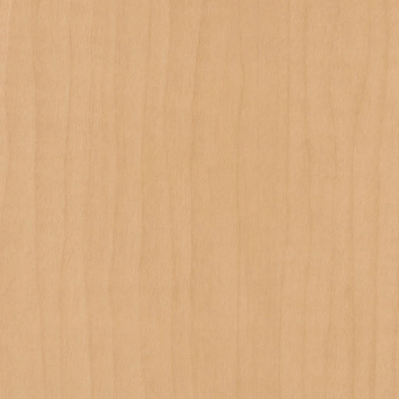 Natural Maple