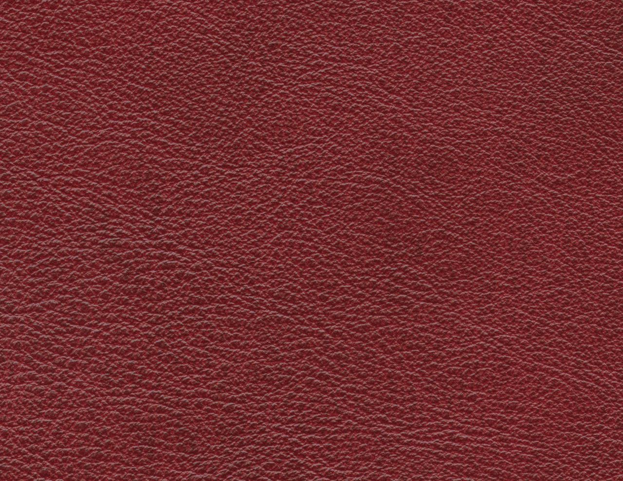 Ruby Gulch
