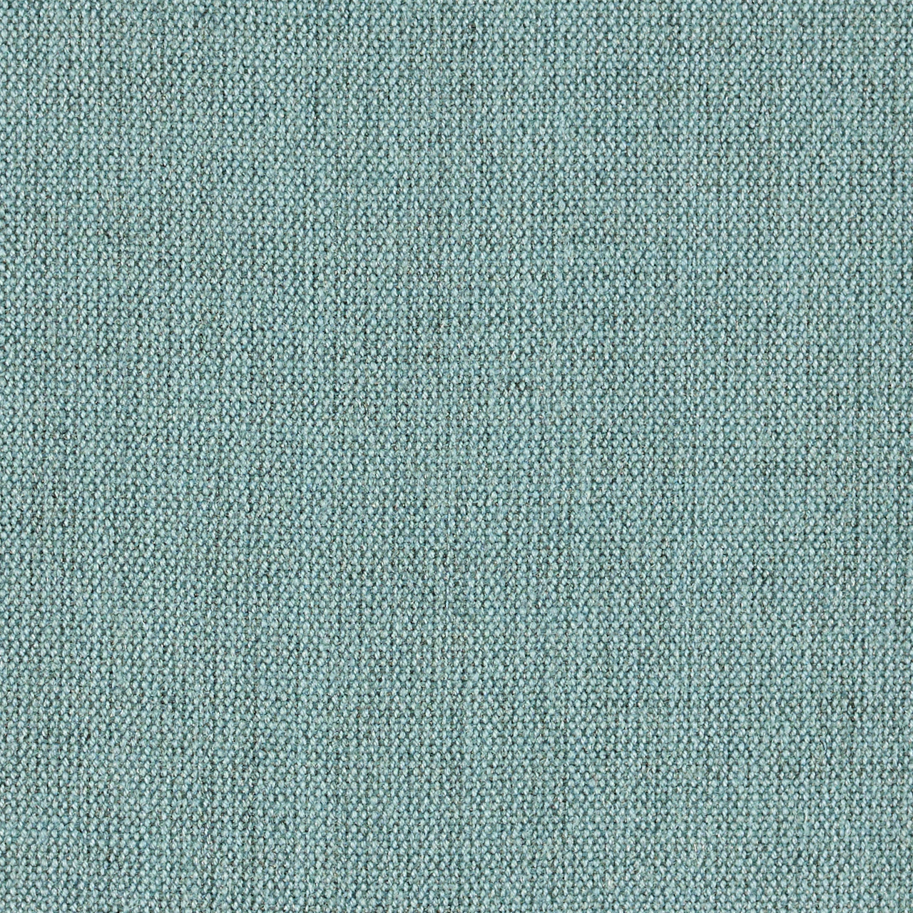 Sea Grass